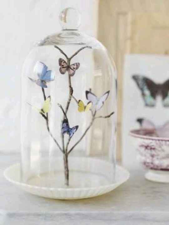 Liberación de mariposas 🦋 - 4