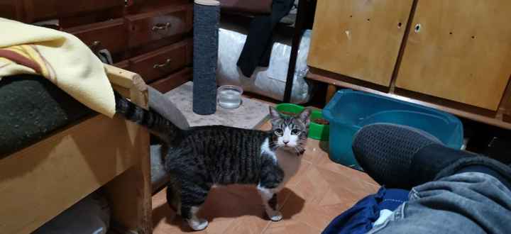 Nuevo mimbro a la familia - 2