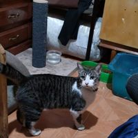 Nuevo mimbro a la familia - 2