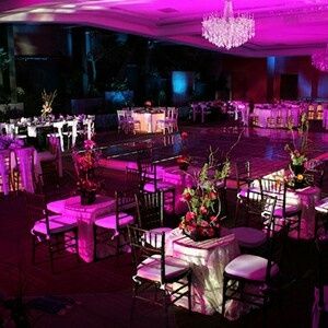 ¿Eres una novia sencilla o elegante? - Resultados - 1