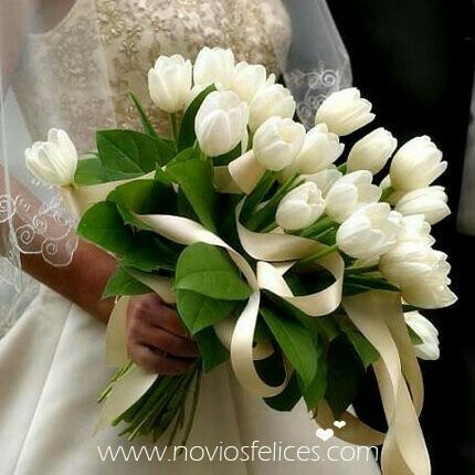 Cual ramo les gusta mas? - 2