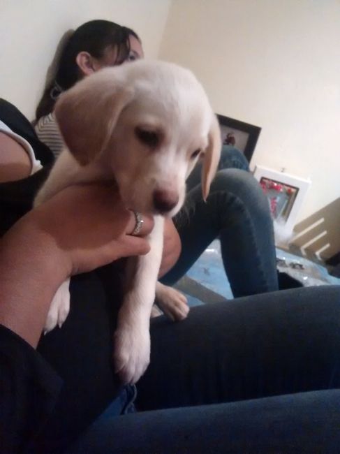 La foto de tu mascota! - 1
