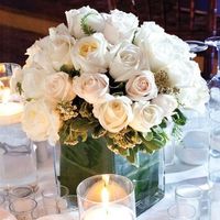 nose cual arreglo quiero 