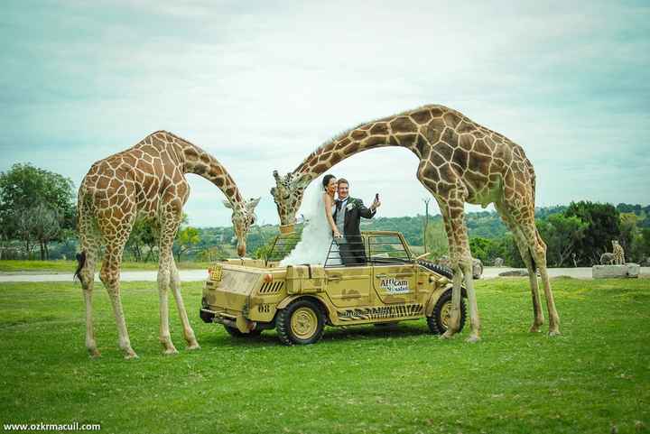 Africam safari Puebla