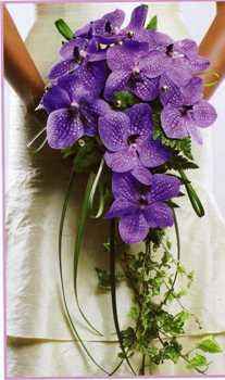 Ramo de novia, saben qué tipo de flor es?