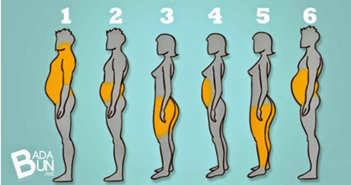 eliminar la grasita corporal