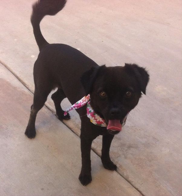 mi coco lista para el evento