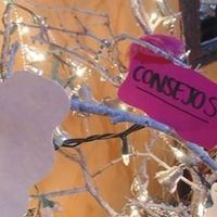 consejos