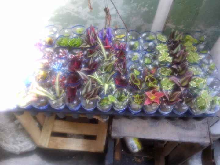 Plantas para asignación de lugares