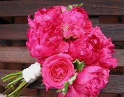 bodas
