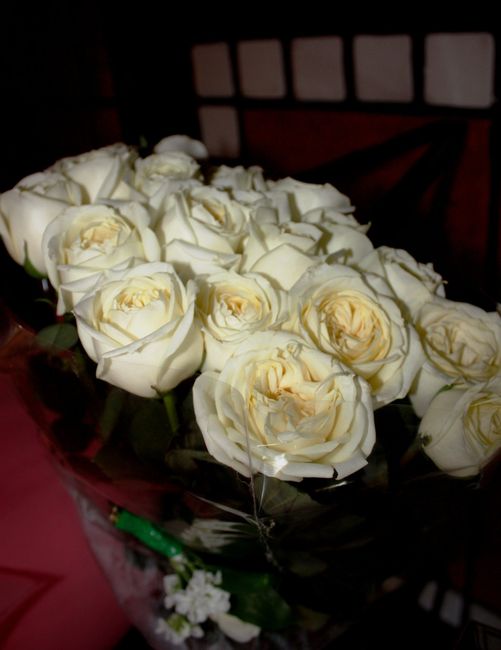 rosas 