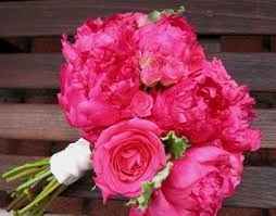 bodas