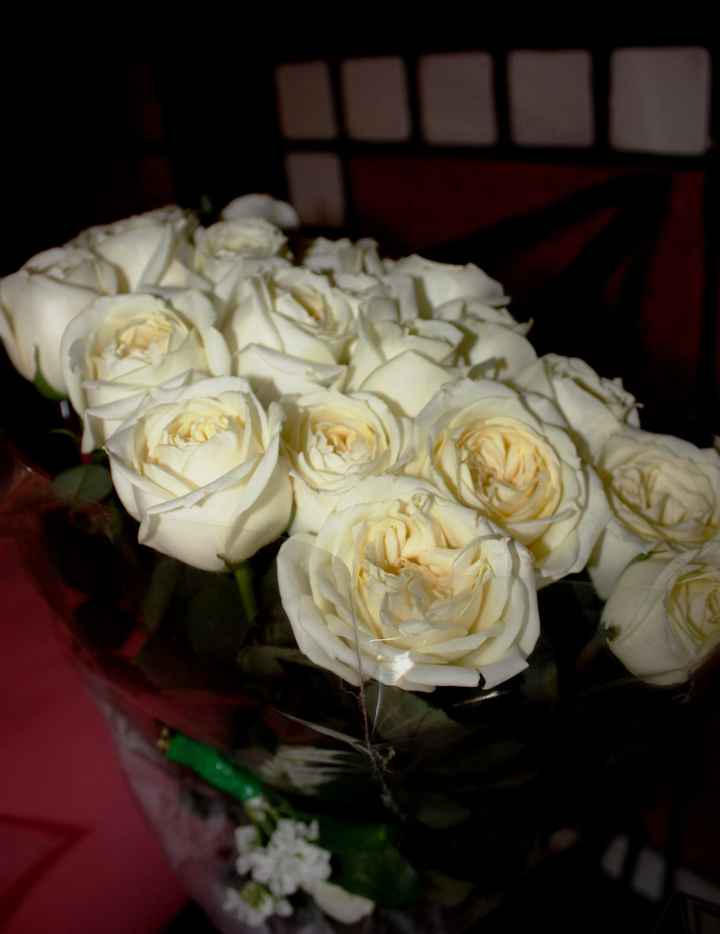 rosas 