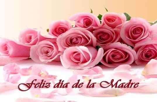 Feliz día