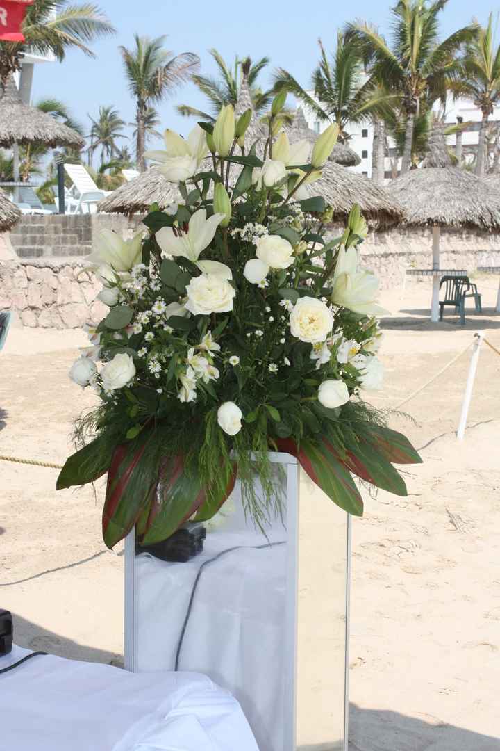 flores