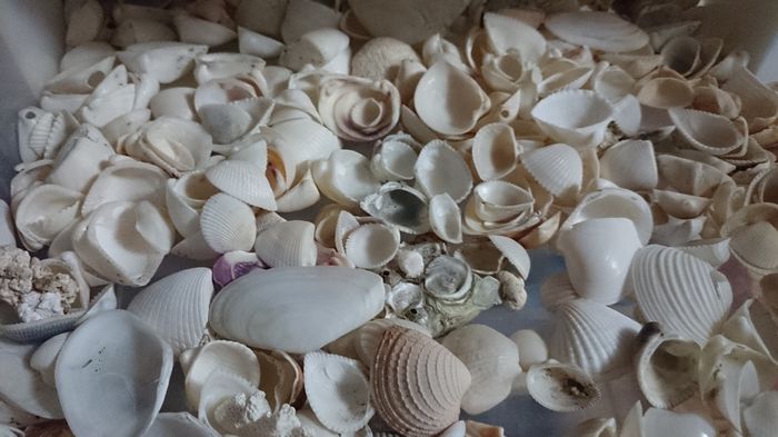 Pequeños detalles de mi boda.... - 1