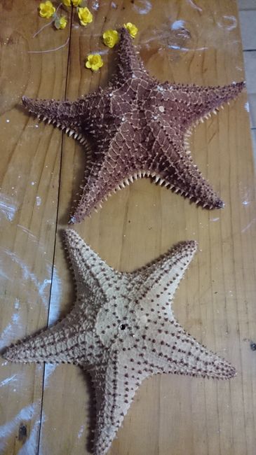 Pequeños detalles de mi boda.... - 2