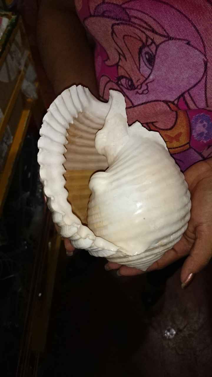 Poco a poquito.... - 1