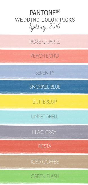 Colores top - 1