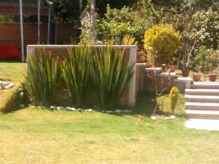 Más jardín