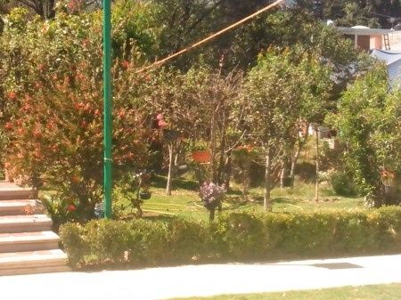 Más jardín
