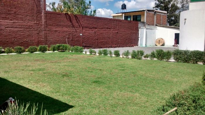 Avances 128 días - 2