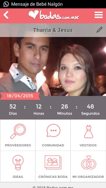 Mi contador de boda... cómo va el suyo brides & grooms?? - 1