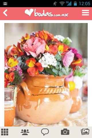 Avances 128 días - 9