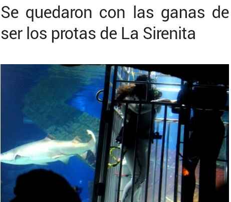 Bodas originales xd - 1