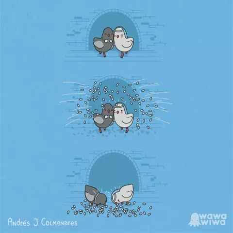 El gran día llego!!! - 1