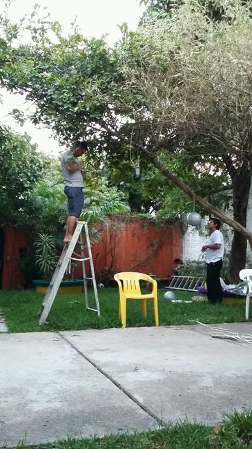 A 19 dias más avances!!! - 8