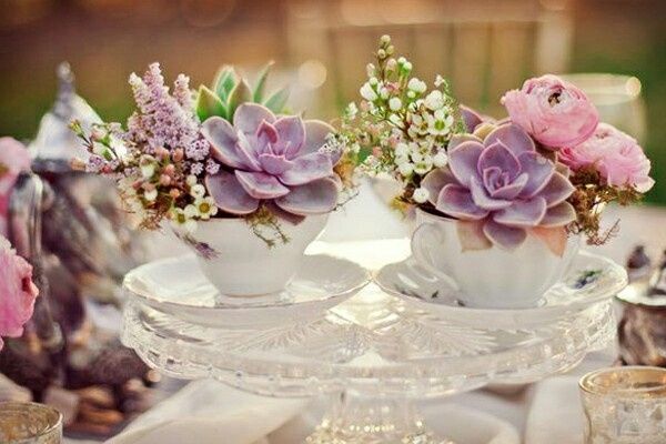 Suculentas para la boda - 5