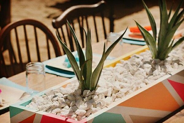 Suculentas para la boda - 8