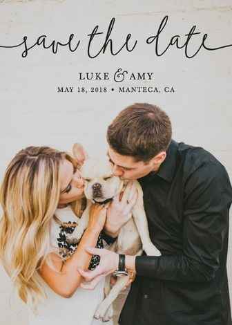 fotos / save the day - 2