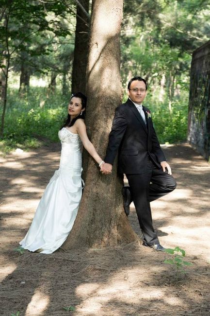 Ni el árbol nos separa