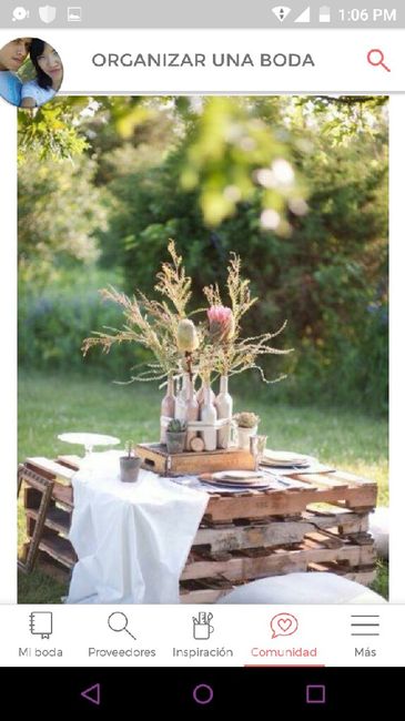 Ideas: boda picnic - 5