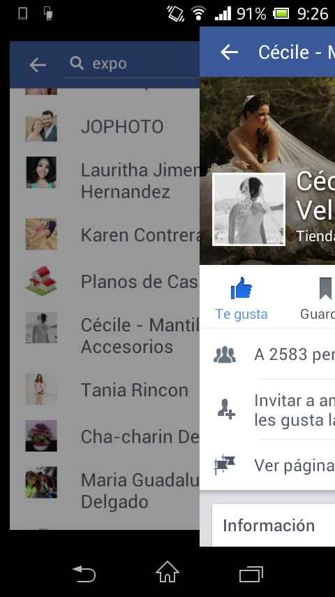 ¿dónde conseguir el velo? - 1