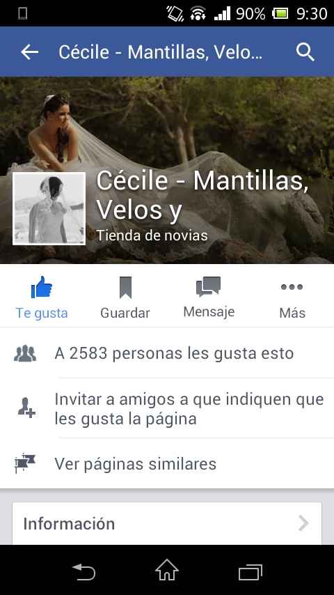 ¿dónde conseguir el velo? - 1