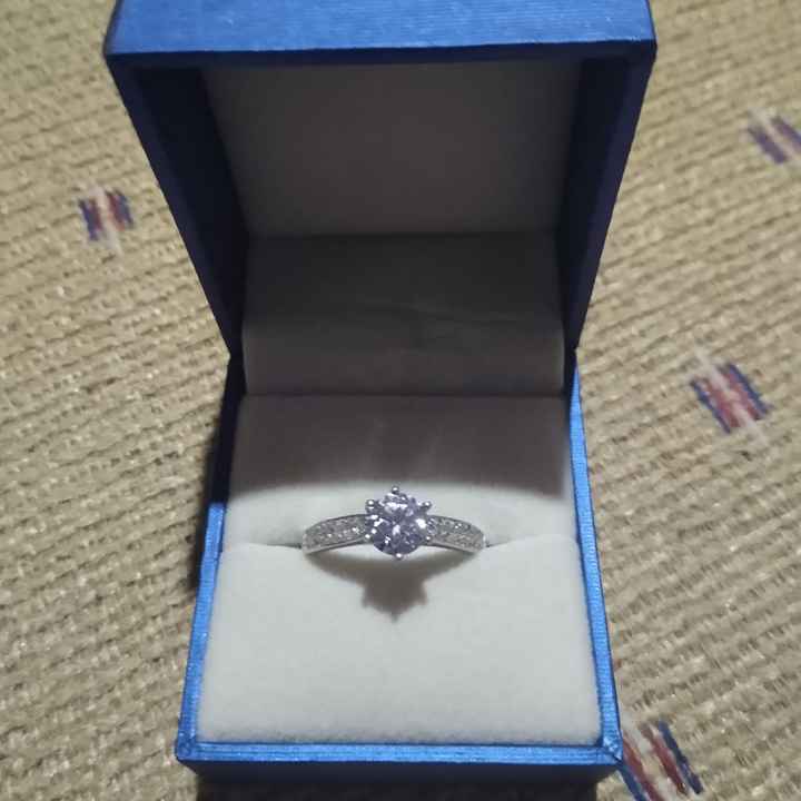 Mi anillo de compromiso, Gaby - 1