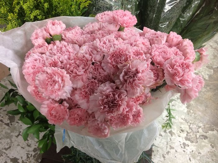 Flores para mis Ramos 💐 - 1