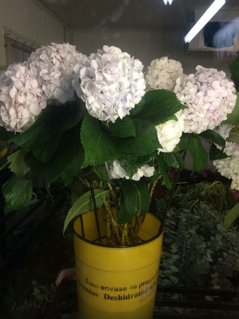 Flores para mis Ramos 💐 - 2