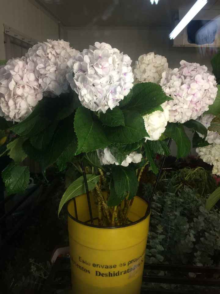 Flores para mis Ramos 💐 - 2