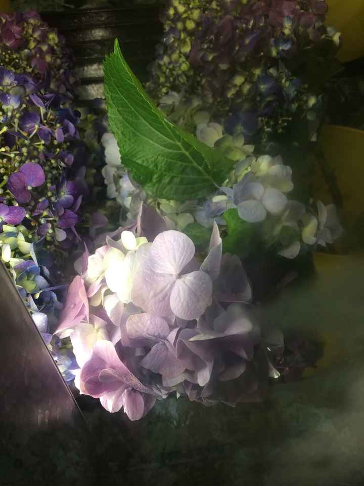 Flores para mis Ramos 💐 - 3