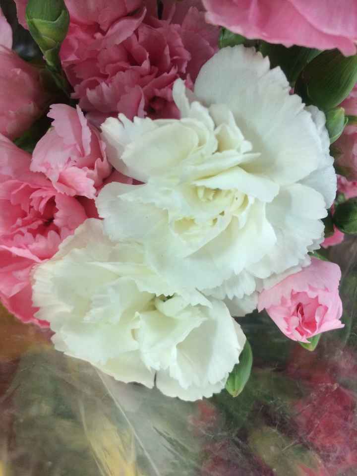 Flores para mis Ramos 💐 - 5