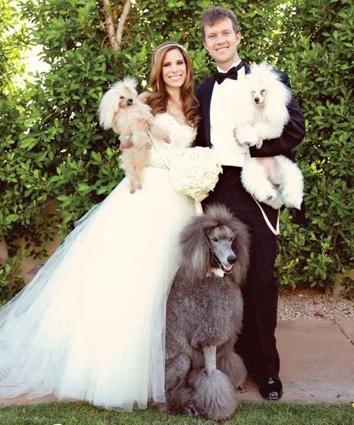 Mis Perri-hijos en la Boda :D