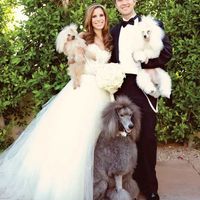 Mis Perri-hijos en la Boda :D
