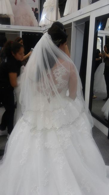 buscando mi vestido 2