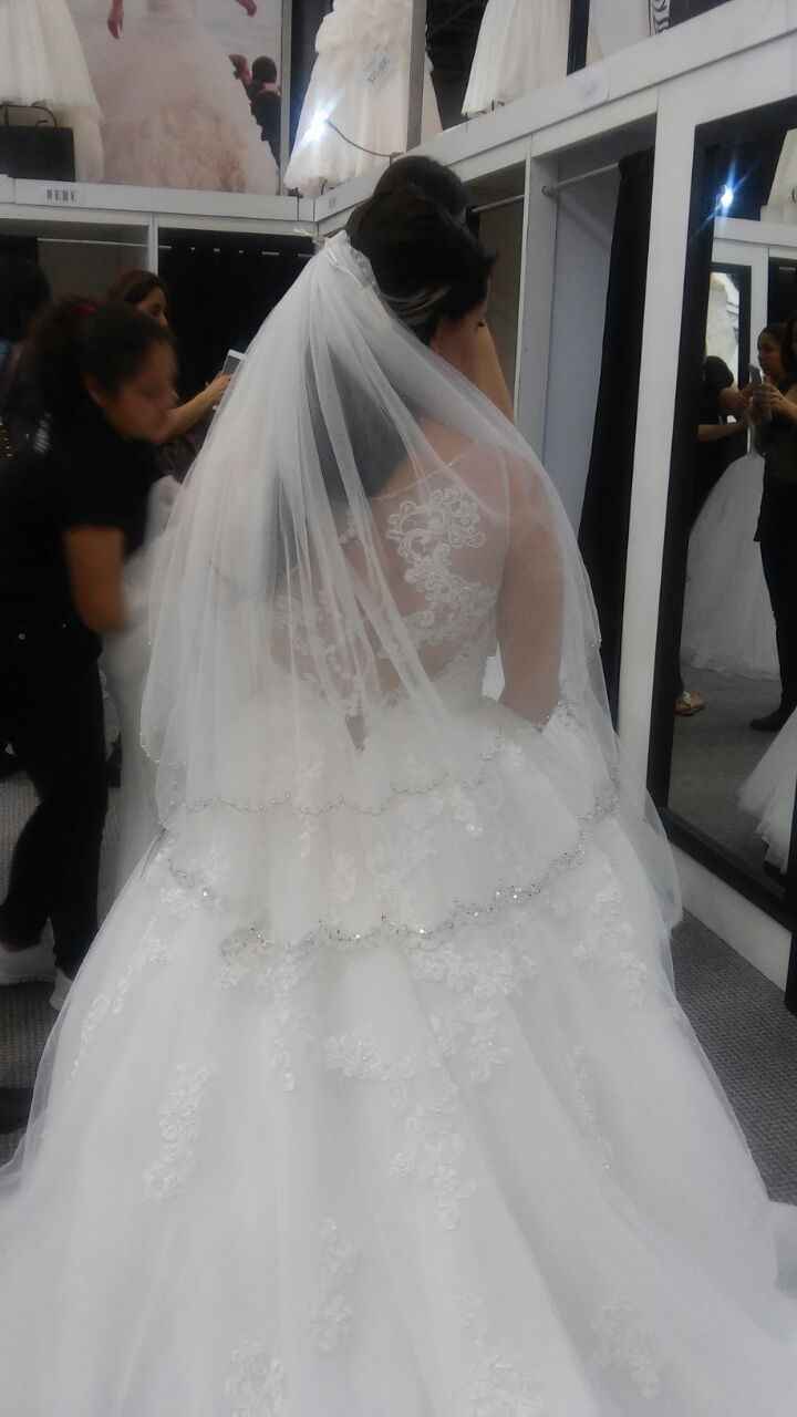 buscando mi vestido 2