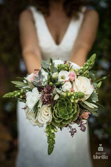 Suculentas 🌹🌸 - 1