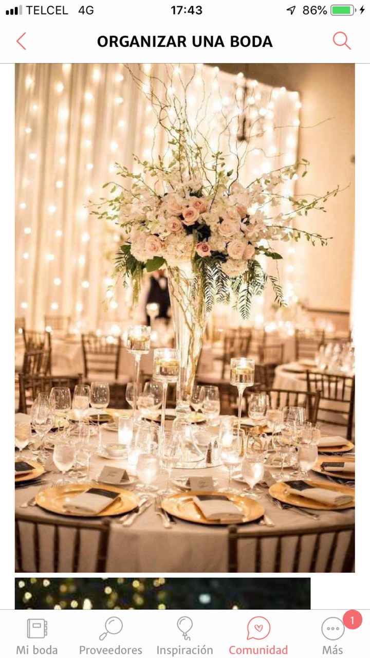 Color / tema de la boda - 4